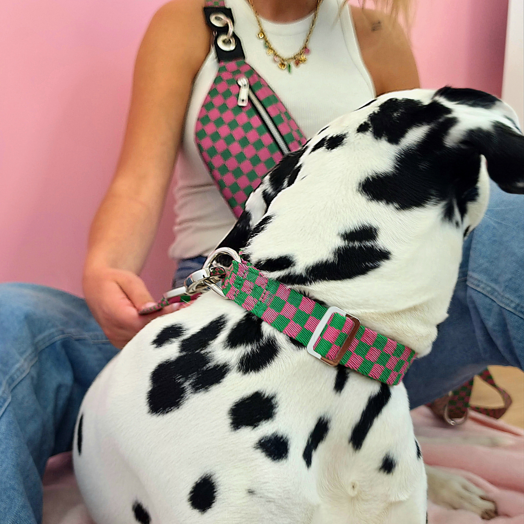 Dog N Me matching collection