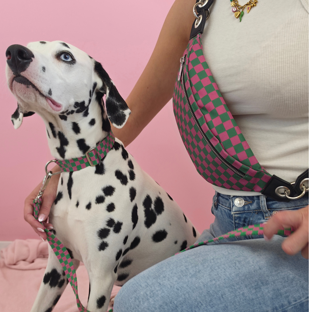 Candy Check - Bag