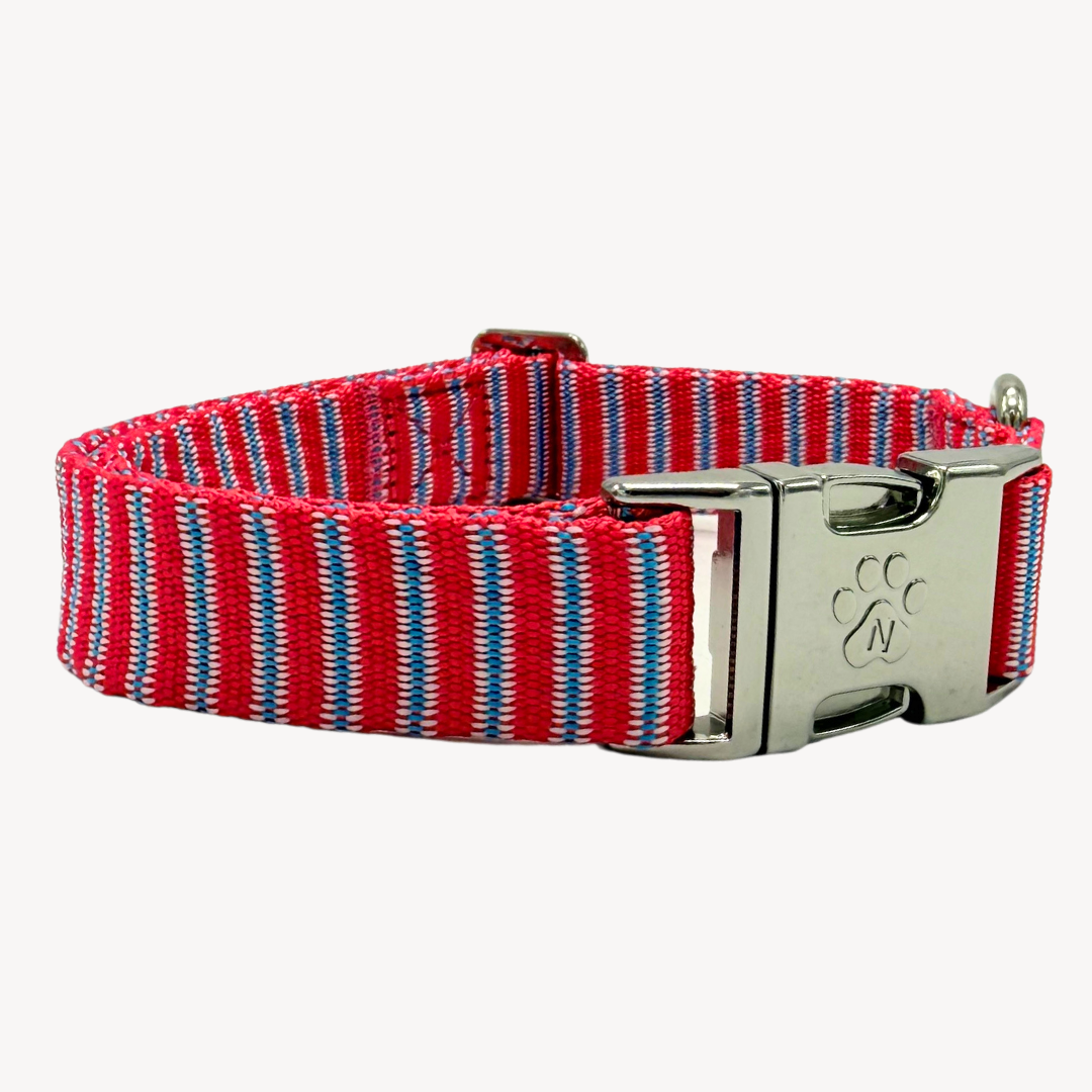 Riviera - Halsband Hond