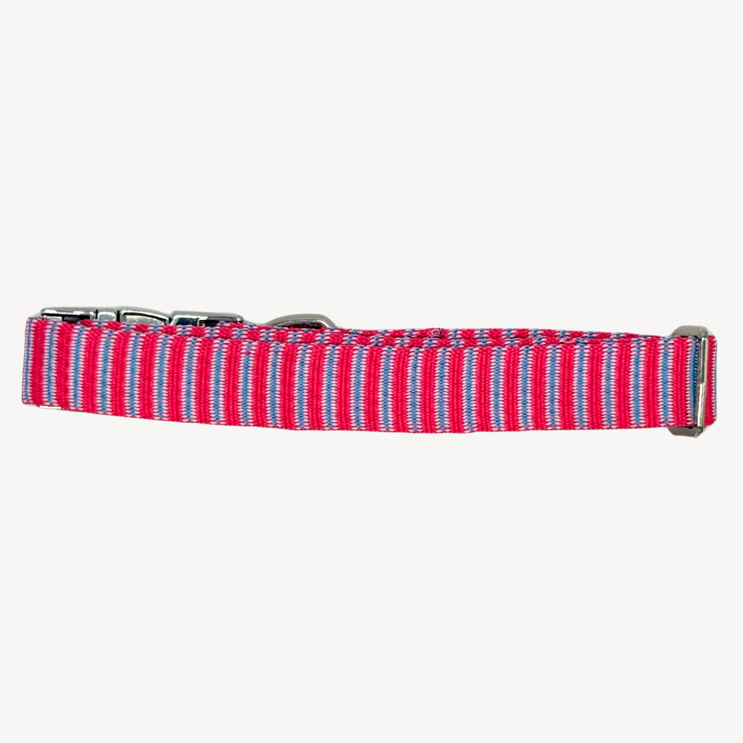 Riviera - Halsband Hond
