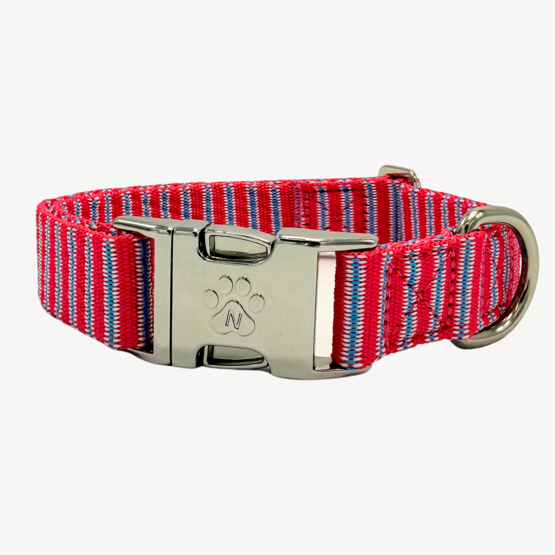 Riviera - Halsband Hond