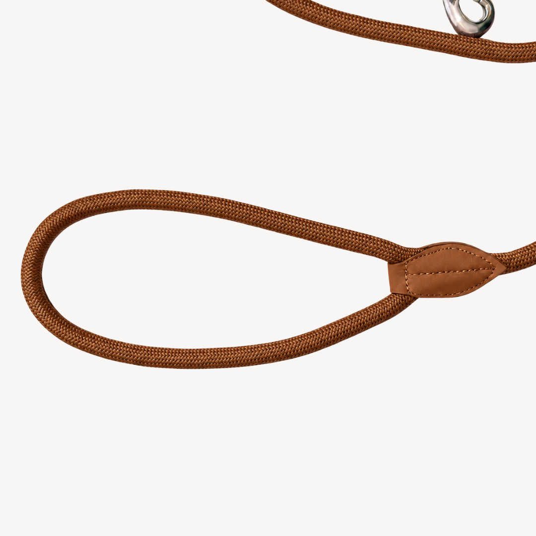 Daily – Brown – Dog Leash