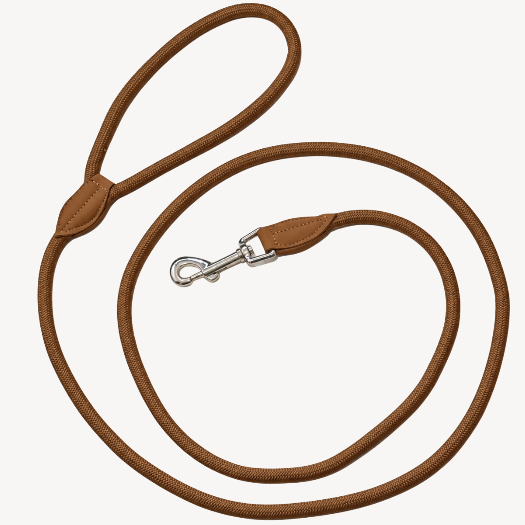 Daily – Brown – Dog Leash