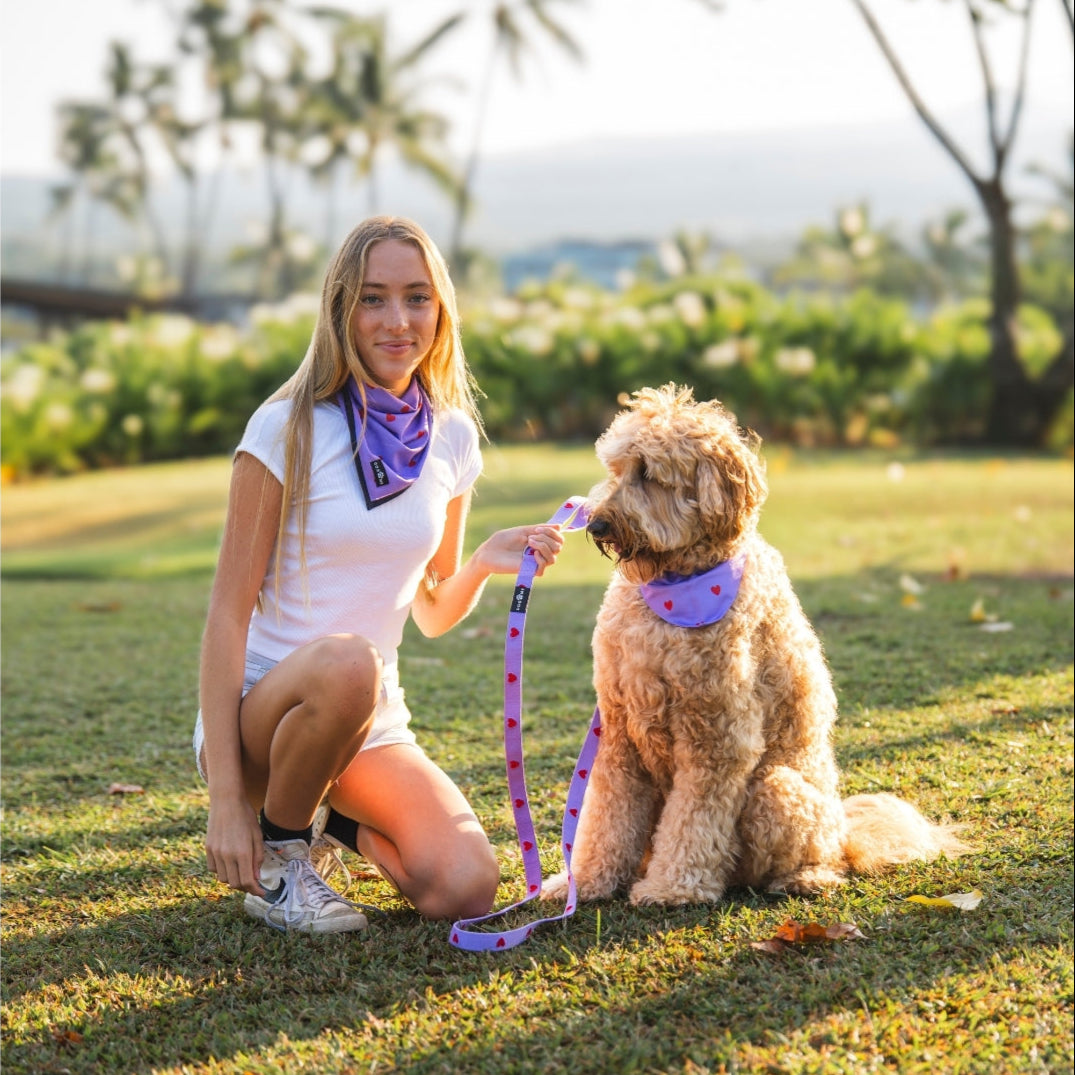 Hearts - Paars - Matching Bandana's Set