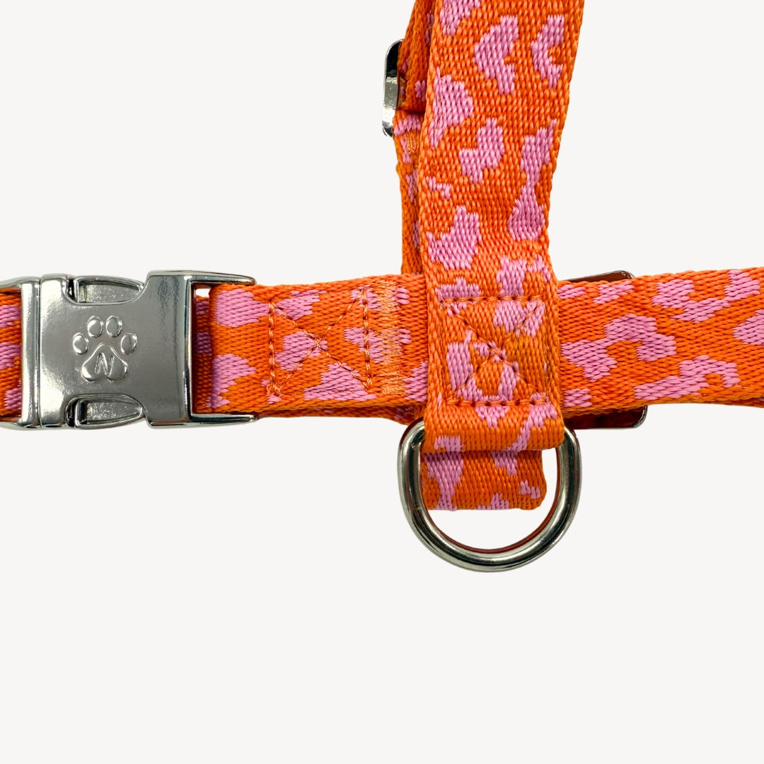 Panthère - Orange/Rose - Harnais pour chien