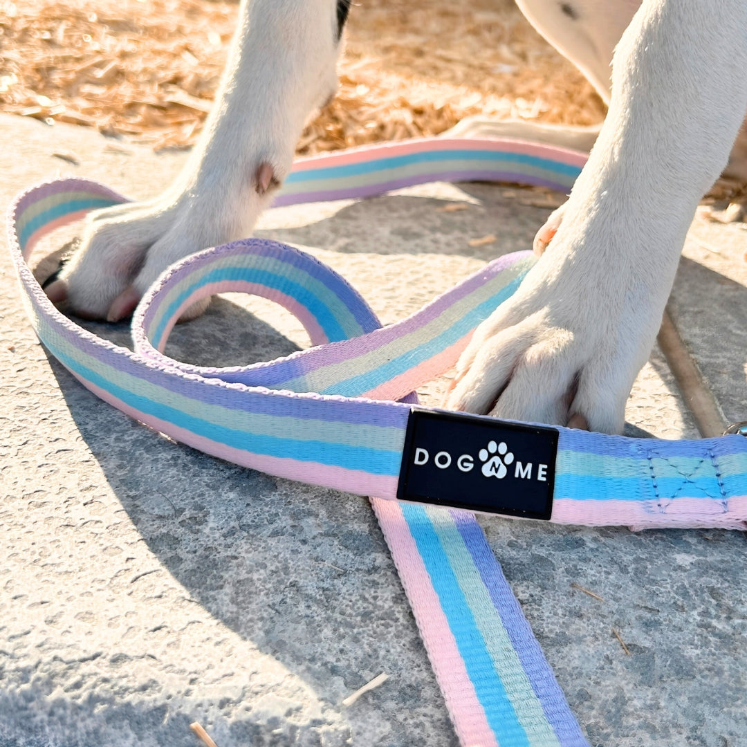 Arc-en-ciel - City Walk Set