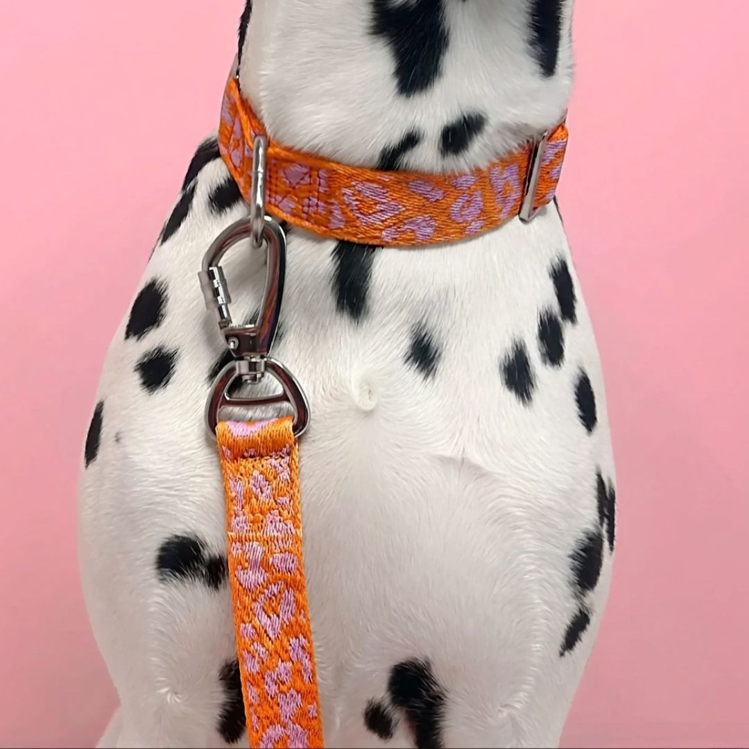 Panter 2.0 - Oranje/roze - City Walk set