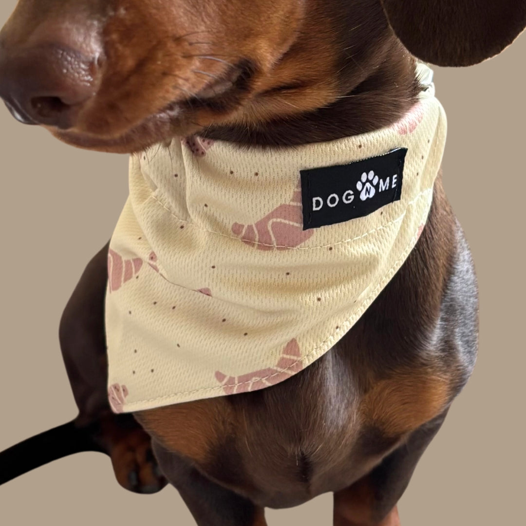 Croissant - Matching Bandanas Set