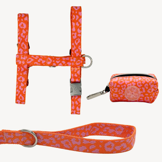 Panther - Orange/Pink - Trail Explorer Set