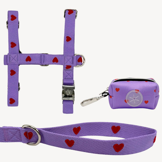 Hearts - Purple - Trail Explorer Set
