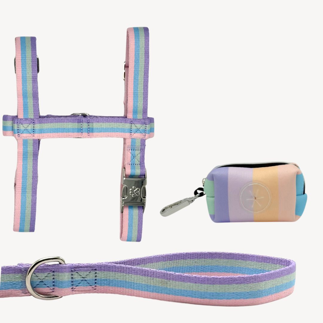 Rainbow - Trail Explorer Set