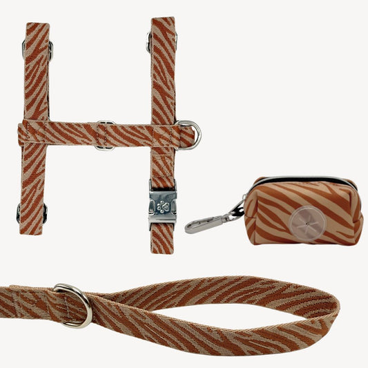 Zebra - Trail Explorer Set