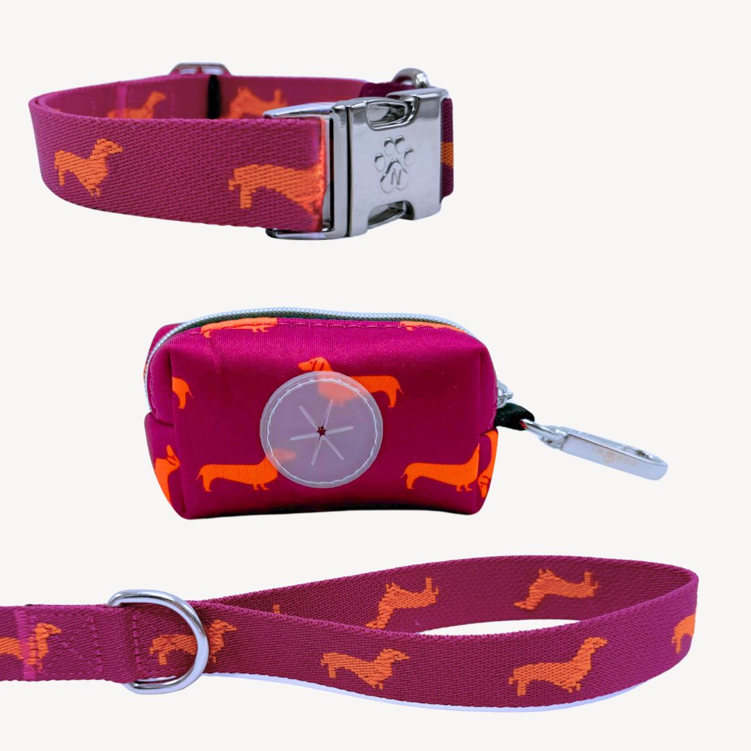 Dachshunds - City Walk set