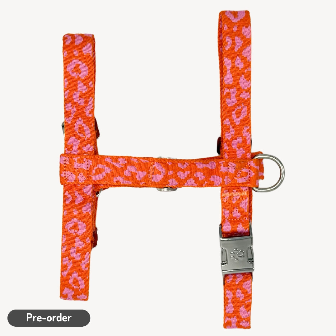 Panthère - Orange/Rose - Harnais pour chien