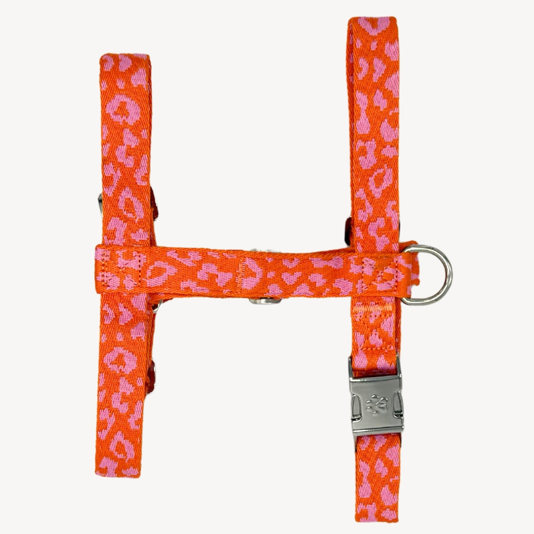 Panthère - Orange/Rose - Harnais pour chien