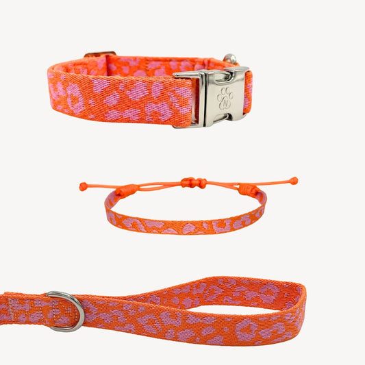Panter 2.0 - Oranje/Roze - Matching Paws set