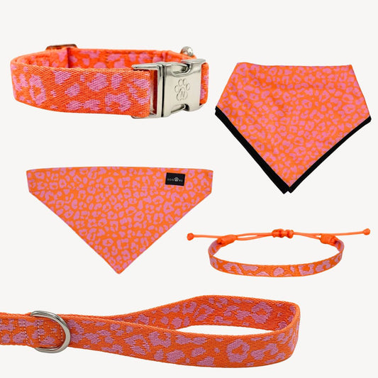Panter 2.0 - Oranje/Roze - Trail Hunter Ultra Set