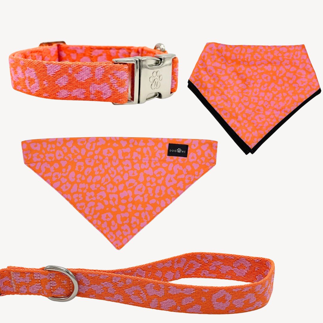 Panter 2.0 - Oranje/Roze - Trail Hunter Duo Set