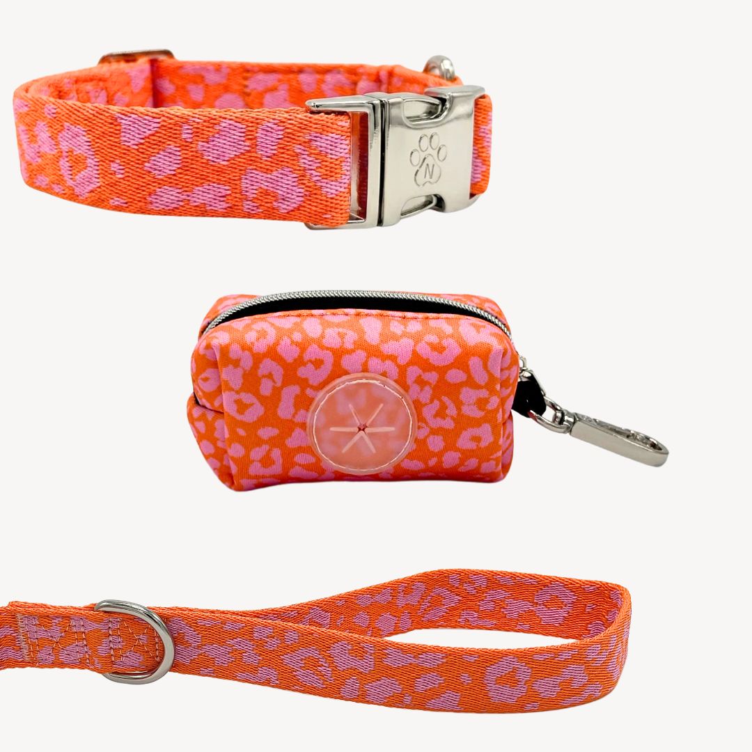 Panter 2.0 - Oranje/roze - City Walk set