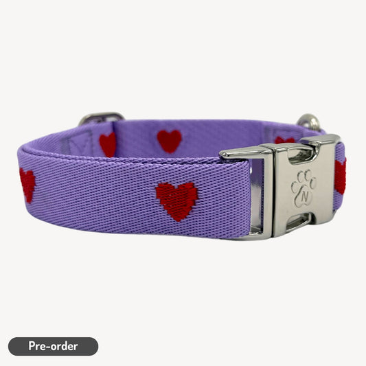 Cœurs - Violet - Collier pour chien