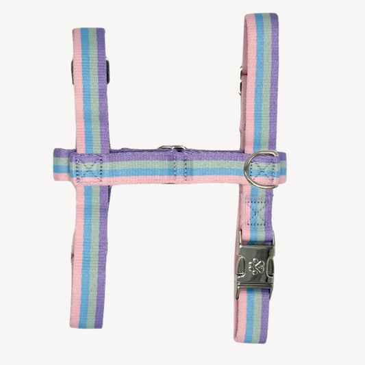 Arc-en-ciel - Harnais pour chien