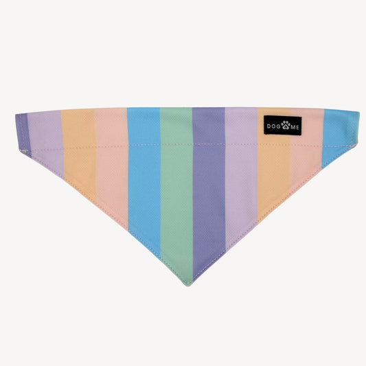 Arc-en-ciel - Bandana pour chien