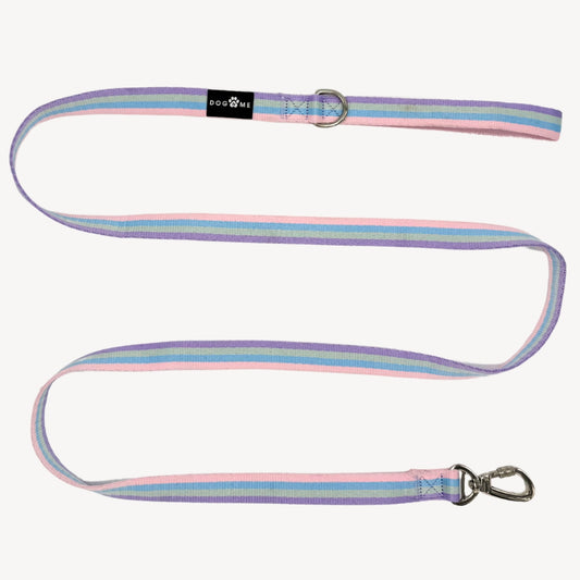 Arc-en-ciel - Laisse pour chien