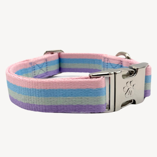 Arc-en-ciel - Collier pour chien